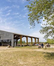 Poney Club Des Cinq Arpents image 4