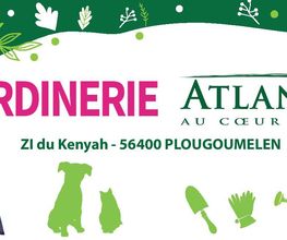 Atlantic Vert - Plougoumelen image 1