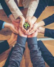 nachhaltig Lokale Partner