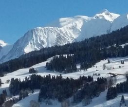 Taxi Services Megeve image 6