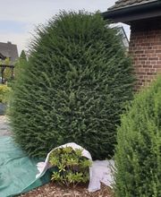 IMG_1566.jpeg