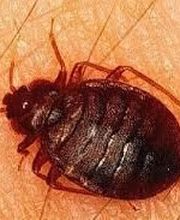 Montélimar 4D image 1