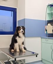 Sprechzimmer  in Medivet Tierarztpraxis Unterhaching