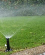 Trois-Chêne Jardins Sàrl Bild 10