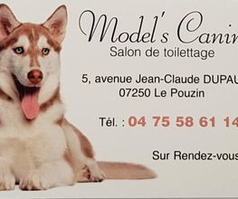 MODEL S CANIN image 2