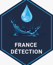 France detection image 1