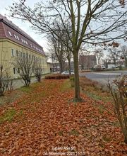 WEGA Garten & Landschaft Bild 5