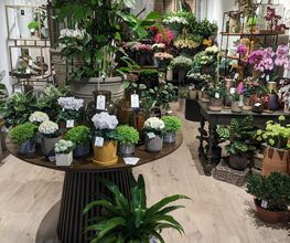 Florus image 1