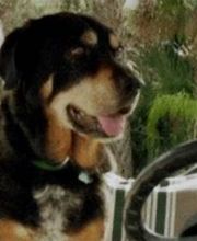 Sabin Marketing and Promotions image 18