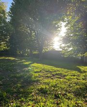 Pieterwas Alexia image 1