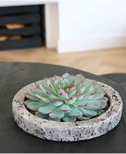 thumbnail_2000_8b555d2c-2e2f-4f11-a23a-79d7b6719908-min.jpeg
