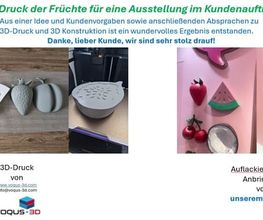 VOQUS-3D I 3D-Druckservice und 3D Konstruktion  in Düsseldorf Bild 10