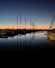 AUSTER SAILORS imagen 9