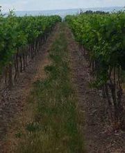 Calmet Et Fils image 4