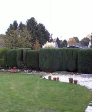 Allroundhandwerker Andreas Kahlen Bild 4