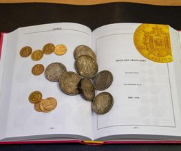 SC Gold image 16