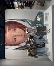 OKAIDI DIJON TOISON D'OR image 13