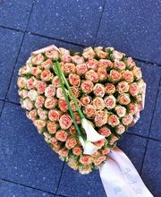 Blumen Hetzer Bild 2