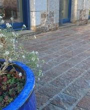 Thierry Julou TP Julou TP image 16