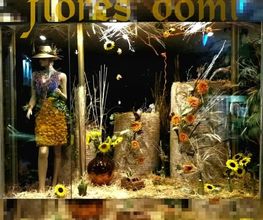 FLORES-DOMI-4.jpg