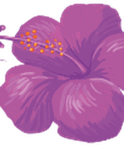 Beauty Lounge - Nancy Neumann Bild 5