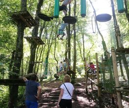Leman Forest image 4