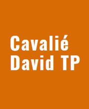 Cavalie David image 2