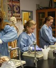 Faulkner University image 1