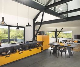 Schmidt image 2