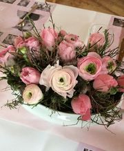 Blumenhaus Feld Bild 2