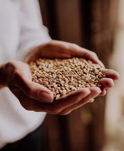 Thomas Ötinger | Online-Biersommelier Bild 9