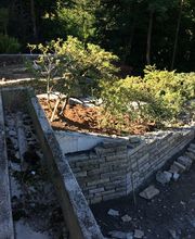 Stern Gartenbau AG Bild 3