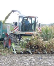 Freudiger Lohnunternehmen Bild 4