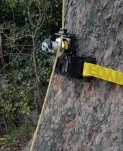 ABDF Bonadei & Chassot Bild 11