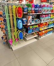 Orchestra PERTUIS image 4