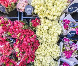 Monceau Fleurs Rocade image 1