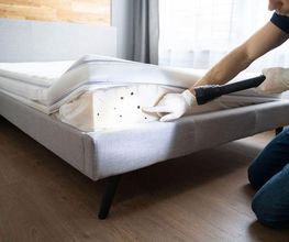 Désinfestation.ch Bild 3