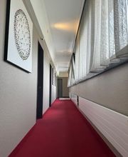 Corfin Pittori | Pittore a Locarno Bild 3