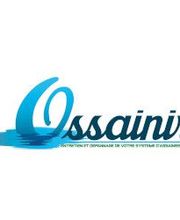 Ossainir image 3
