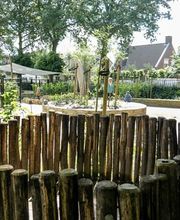 Humankind - BSO De Groene Parel afbeelding 11