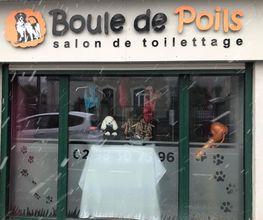 Boule De Poils image 2
