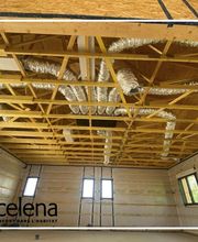 Ocelena image 11