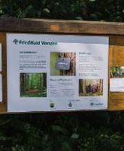 FriedWald Wangen Bild 3