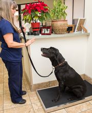 Topaz Veterinary Clinic image 8