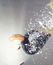 Gastocon - Agentur für Gastgeber c/o Stylecheck GmbH Bild 2