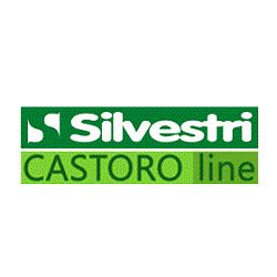 Silvestri - Il Castoro logo
