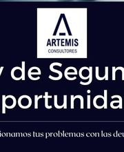 Artemis Consultores imagen 1