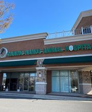 Caring Hands Animal Hospital - Ashburn image 2