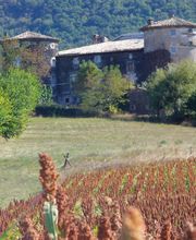 Château de Mauras image 1