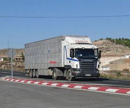 ganados-casals-sa-camion-05.jpg